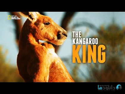 مستند The Kangaroo King 2015